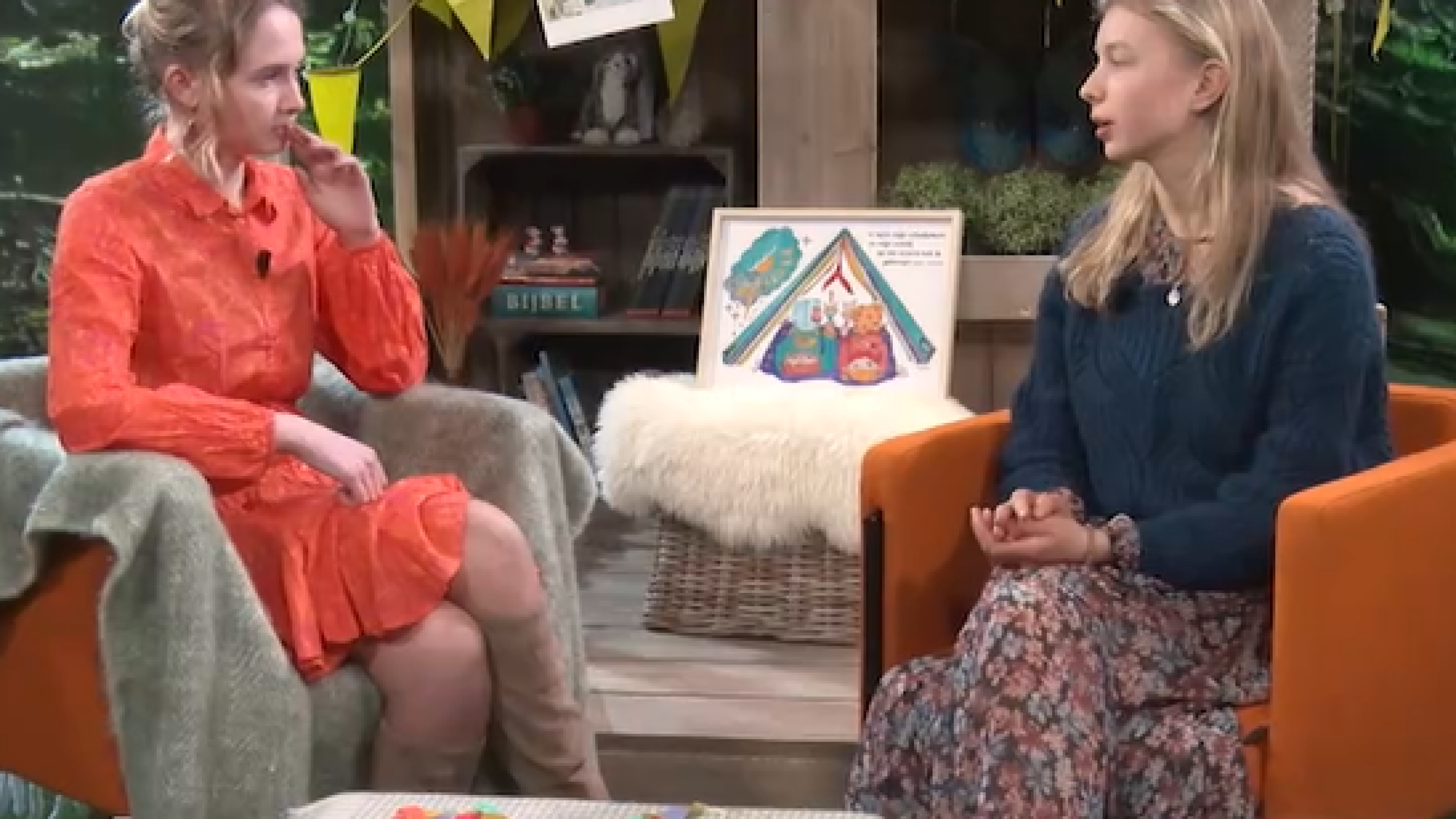 De Verhalenhut - Striptekenaar