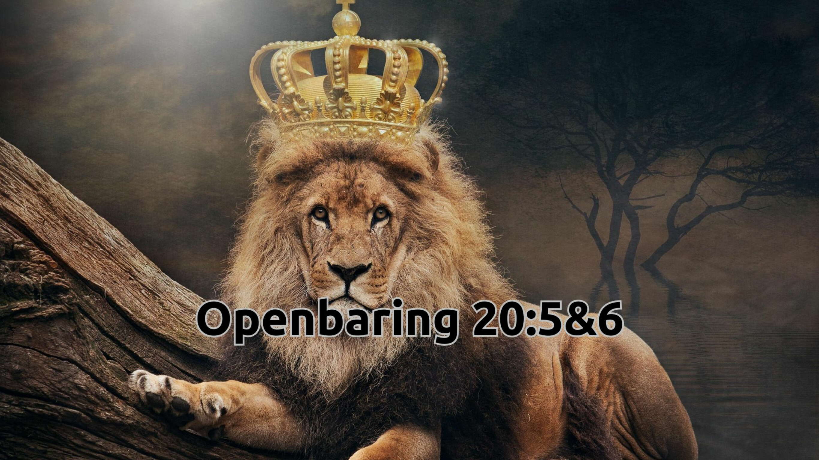 Want de tijd is nabij - afl. 76