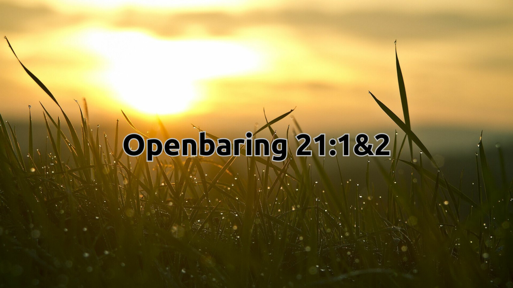 Want de tijd is nabij - afl. 78