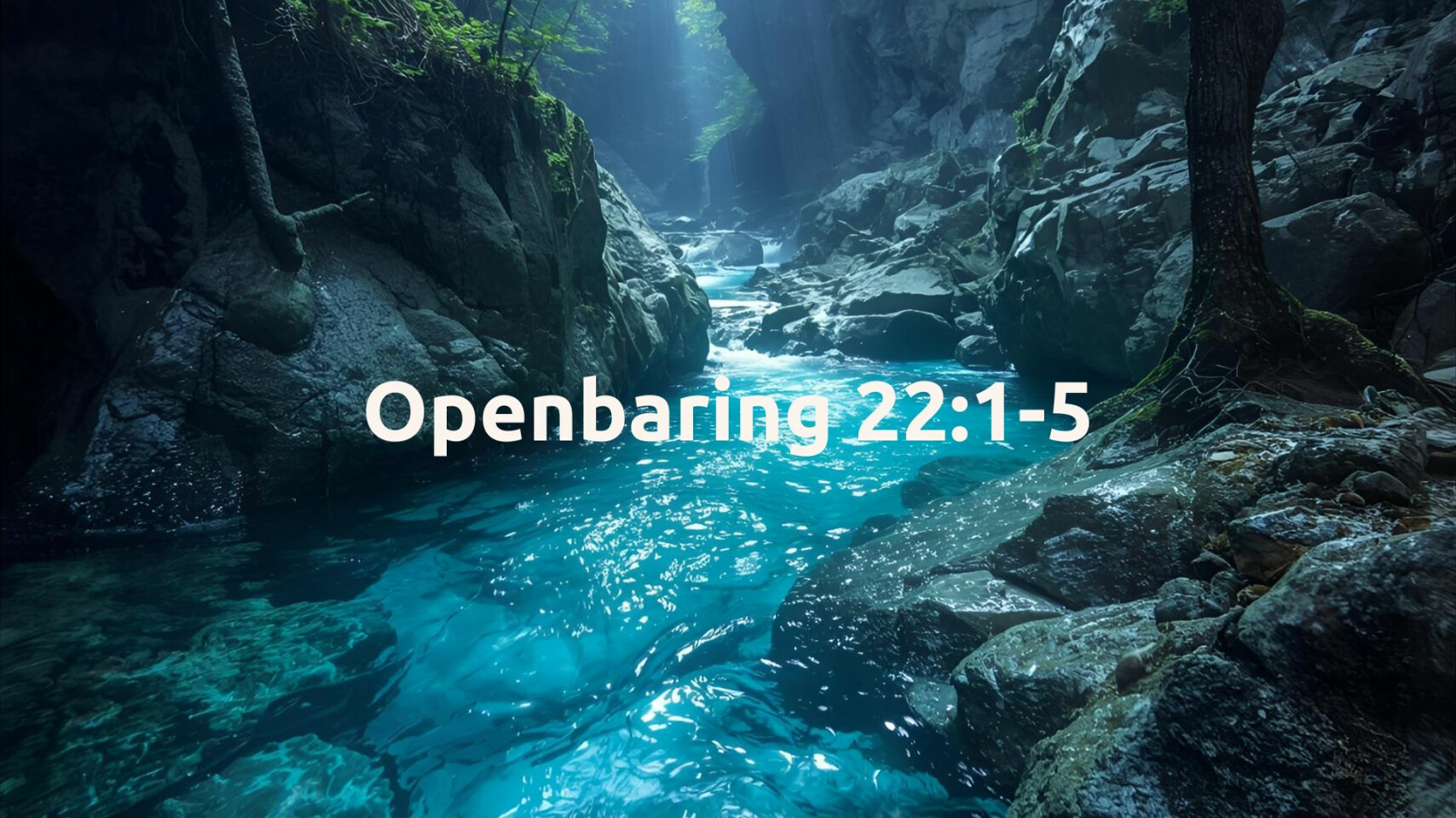 Want de tijd is nabij - afl. 88