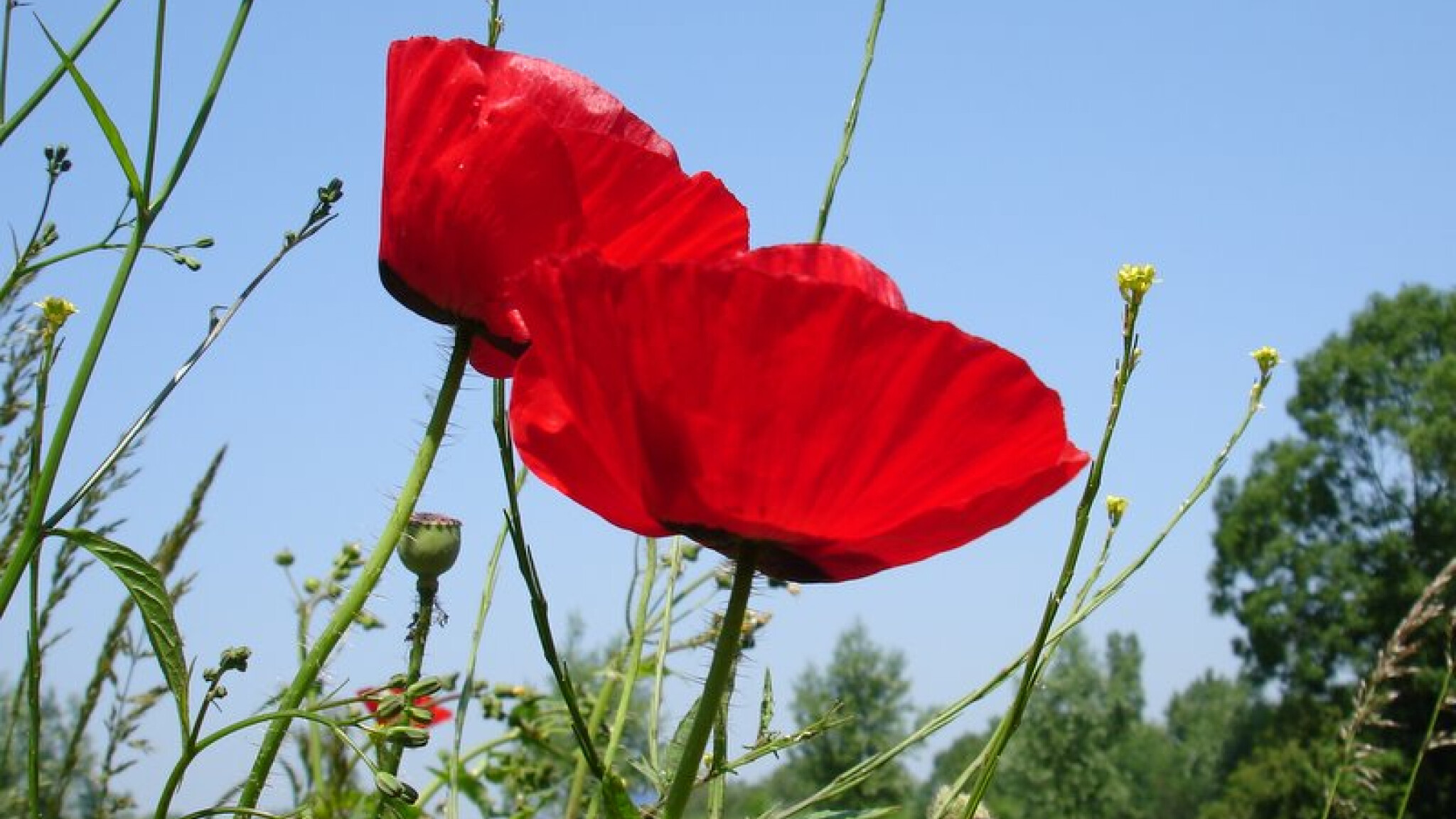 header afbeelding voor nieuwsartikel